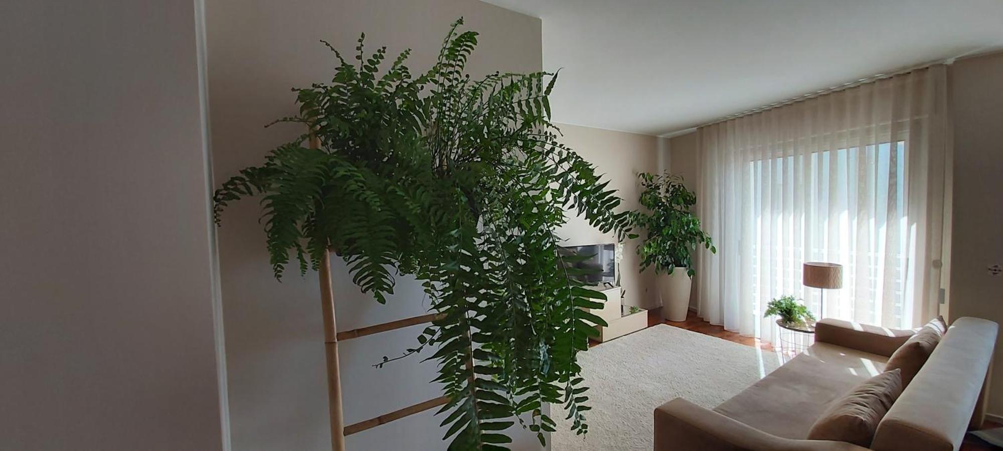 Jardim na Praia Apartament Matosinhos  Zimmer foto